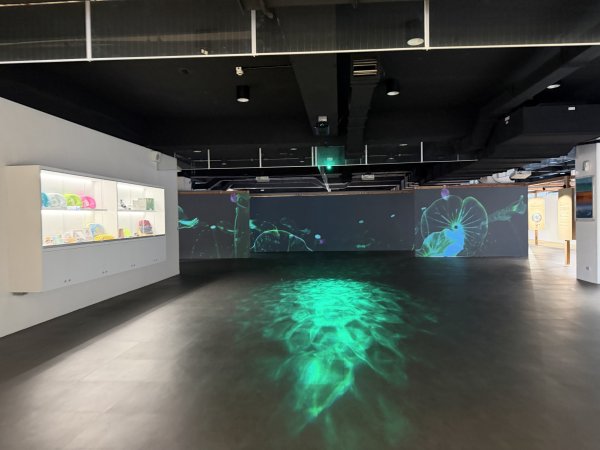 [山海圳_大圳之路_第一段] 2026_0228 茄拔天后宮_南湖口_西拉雅國家風景區3009142