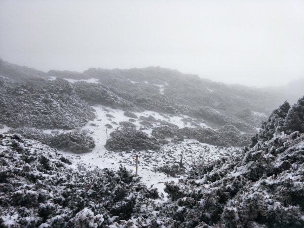 百岳:玉山南峰_雪季1575119