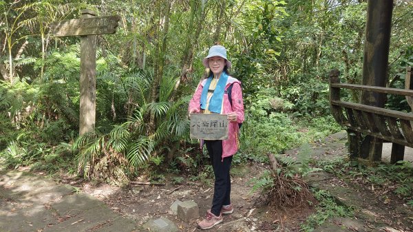 (姨婆趴趴走)第五十五集:攀登健走台北大崙頭尾山親山步道環狀一圈2853719