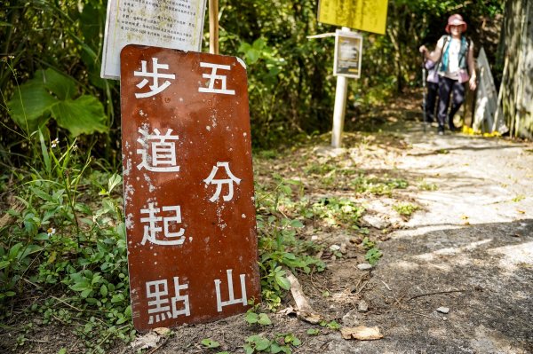 五分山｜小百岳2915427