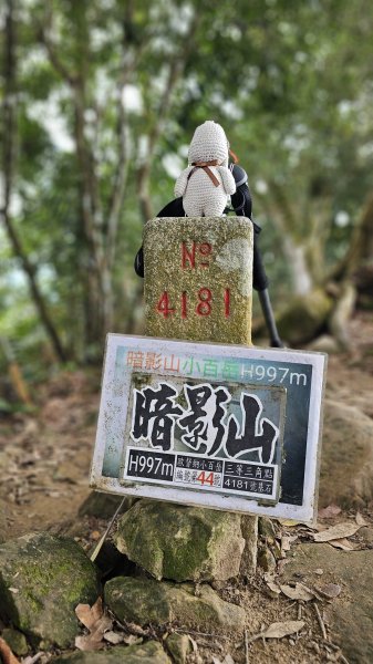 【山形暗影綽綽，我們步履不停，只為那枚海拔千尺下的獨特三角點。】小百岳#044暗影山2943621