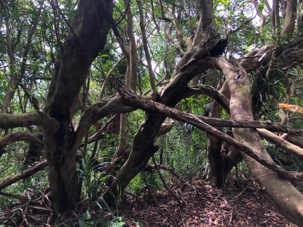 畝畝山、青林山、石古井、石硿子瀑布、石硿子古道O走1492830