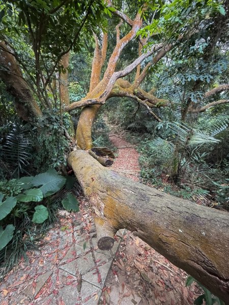風空子山- 一睹南化水庫風景2771390
