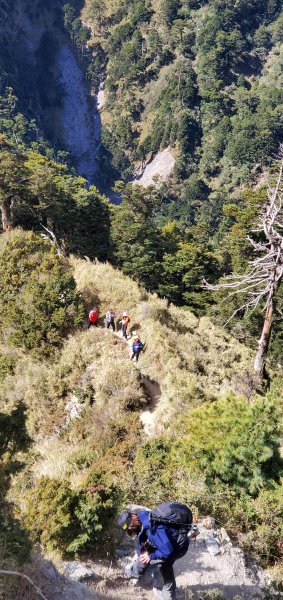 南橫_關山嶺山縱走溪頭山之艱硬路線之美2463272