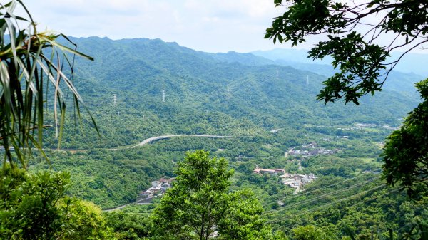 雙溪三柑Ｏ走2839885