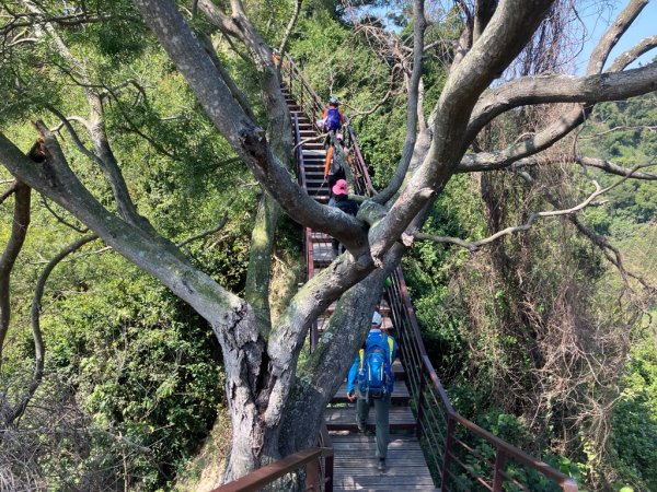 【田中】田中森林步道連走麒麟山2722582
