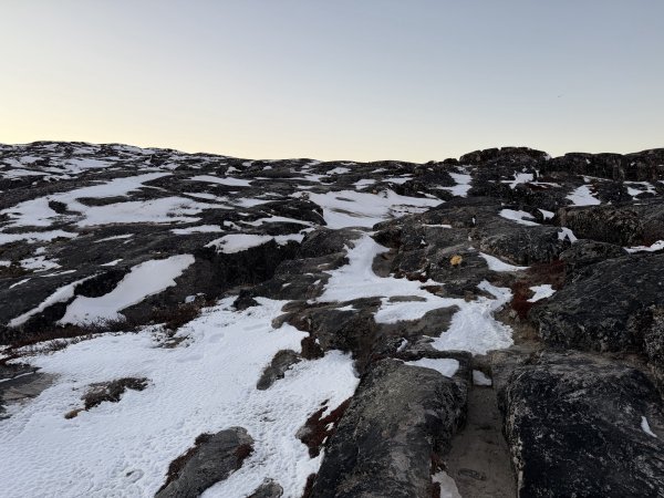 [紐約馬之行-40] 2025_1107 黃線步道-前2950526