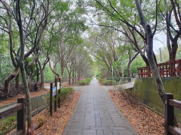 貓貍山公園，功維敘隧道1140934