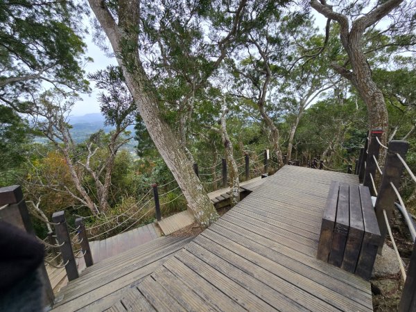 台中大坑9號／9之1／6號／7號O繞3連峰（西平山／平和山／大山母山）2709817