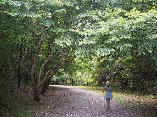 《宜蘭》小太魯閣｜礁溪林美石磐步道201805172889137