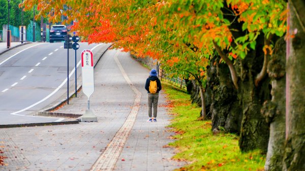 青森縣津輕藩睡魔村2929966