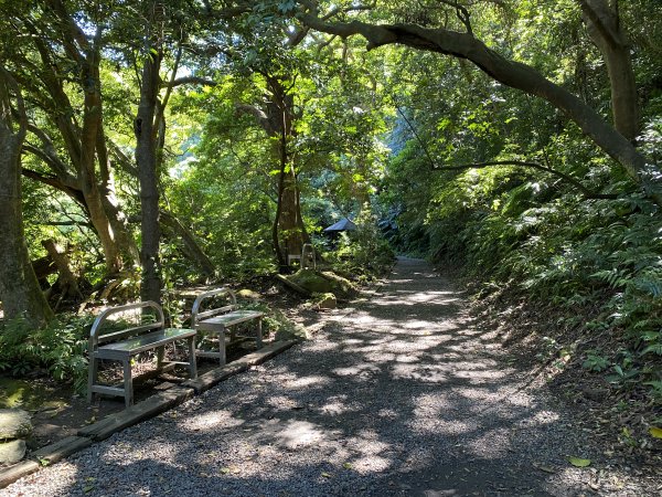 2024/09/16 天母古道（水管路） 紗帽山2884399