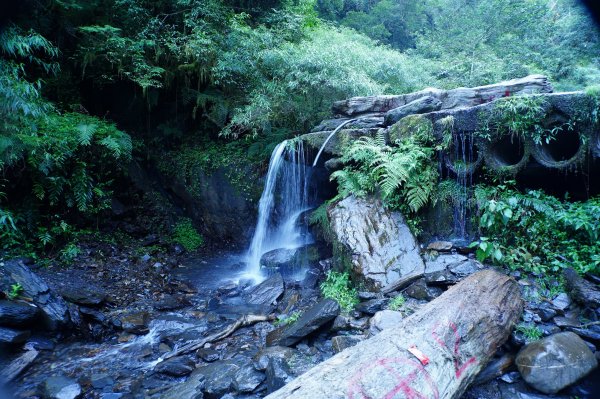 宜蘭 大同 加羅山2890264