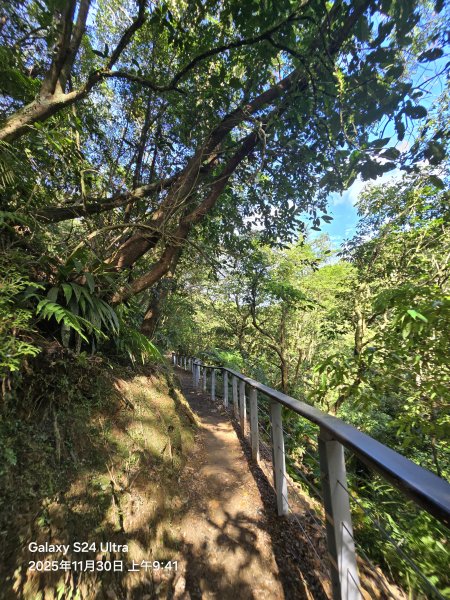 2025-11-30微笑山線：【五分山系】望古瀑布段2950248