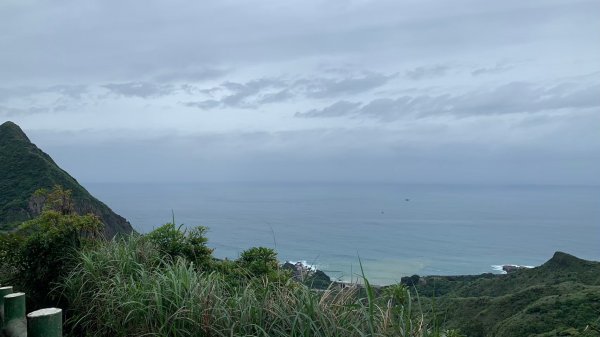 新北｜瑞芳 無耳茶壺山步道1488116