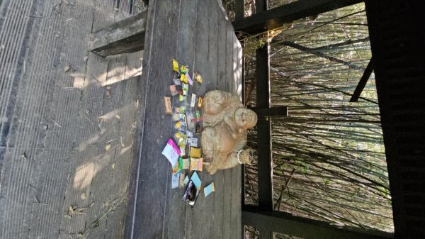 20251223芎林文林古道O走+雞寮坑山+芎林顯伯公野餐2975933