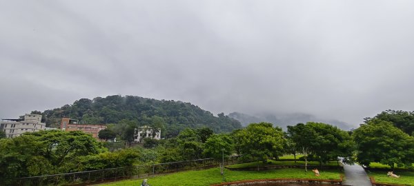 2025/05/25_茶園坪山2796565