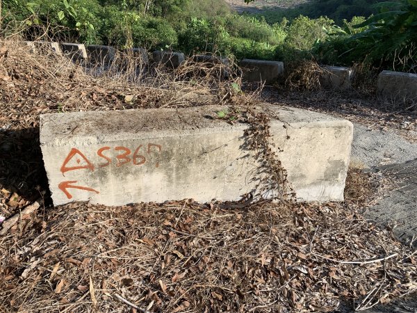 20251115台南南庄山2938062