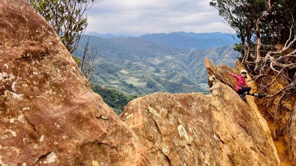 🌈12/28（日）北得拉曼神木+內鳥嘴山✨FB：熊熊趴爬走🌈2971304