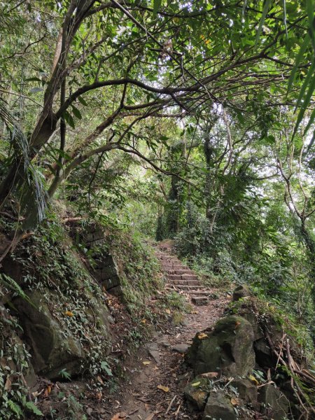 2023.12.23 崁頭山2833302