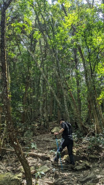 蝴蝶谷瀑布步道｜唐麻丹山登山步道 (松鶴部落上)1900085