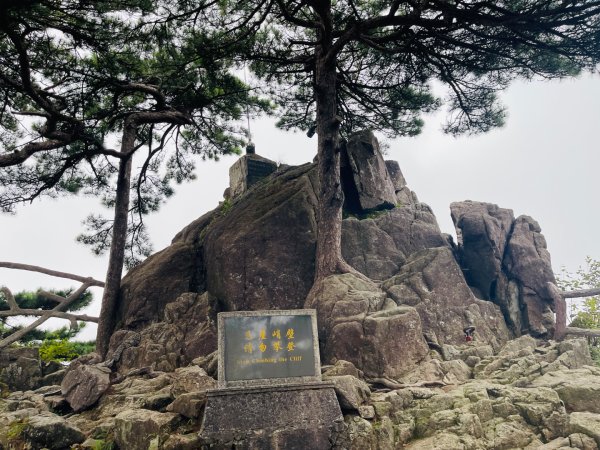 1140915-17安徽省黃山2891395