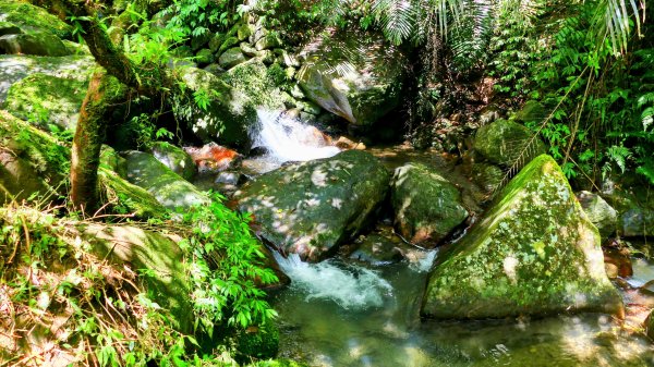 雙溪下坑古道2859469