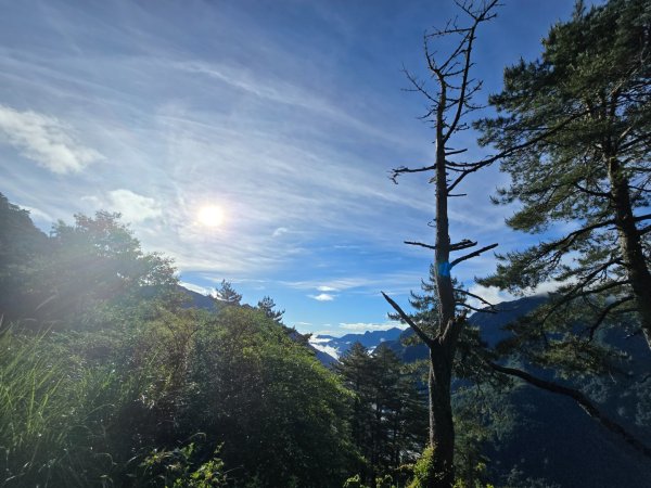 屏風山2天1夜順遊合歡北賞紅毛杜鵑花海2516422