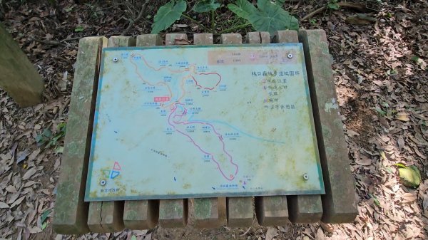 20251215林口森林步道+太平嶺海濱步道2969356