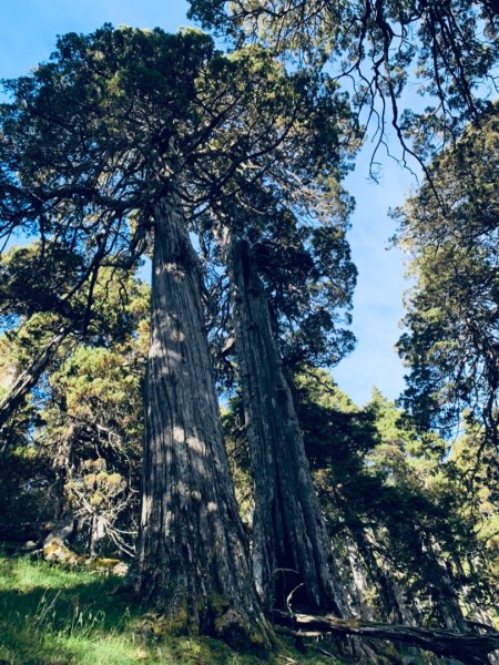 逆走雪山西稜下志佳陽1041404