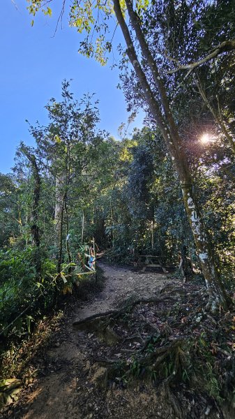 【尾寮山靜修日：一人一山，一念清明，山無語，我自省】🌿2937944