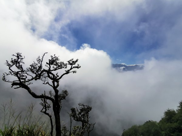 山嵐圍繞的加里山  - 2021/9/51506709