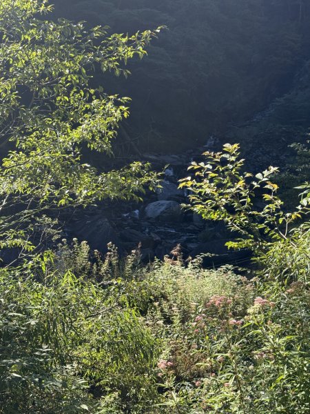 86庫哈諾辛山115.09.133124613