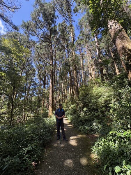 20251004嘉義奮起湖大凍山步道(頂湖)2914914