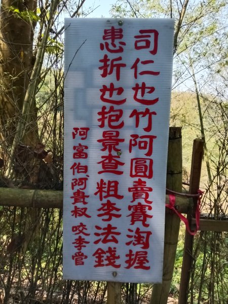 王公坑山血藤花2746256