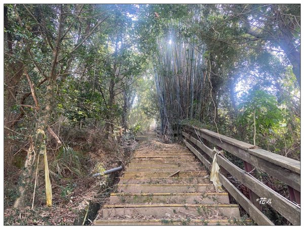 頭屋南山O型路線 (隘寮崠步道)2711201