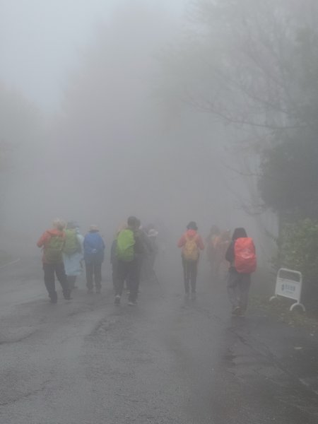 【這樣走波津加也行！】大雪山下波津加進谷關。封面