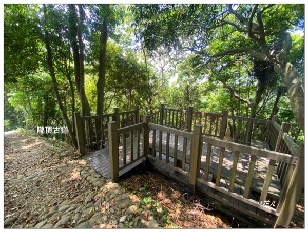 南投台、隴頂古道、員林廣天宮、員林神社 連走3112714
