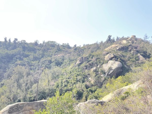 金門太武山3014320