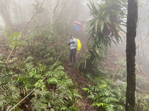 馬那邦山.細道邦山【你 不能預判山的變幻莫測】2401517