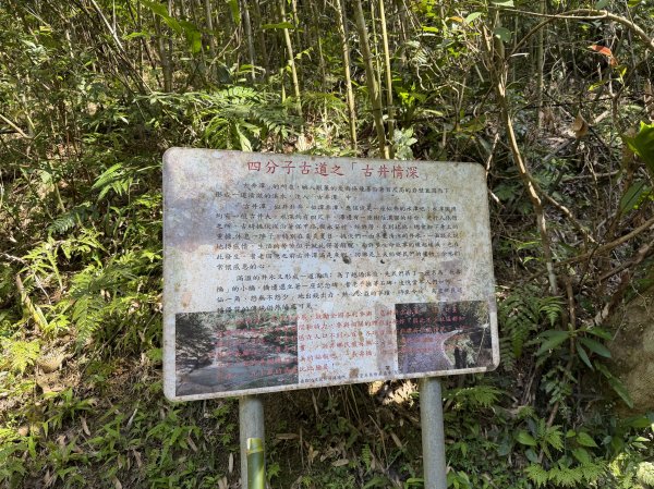 [淡蘭古道] 2026_0315 南路第三段_四分子古道3016922