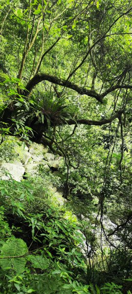 新竹內灣．馬胎古道202506212823503