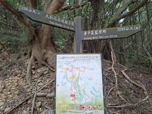 《台中》綠色隧道｜大肚環保公園登山步道O繞202604183038493