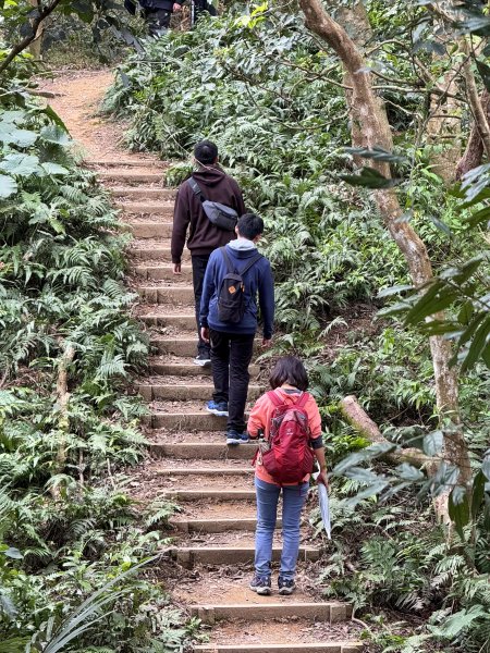 鳶山彩壁 202501312705572