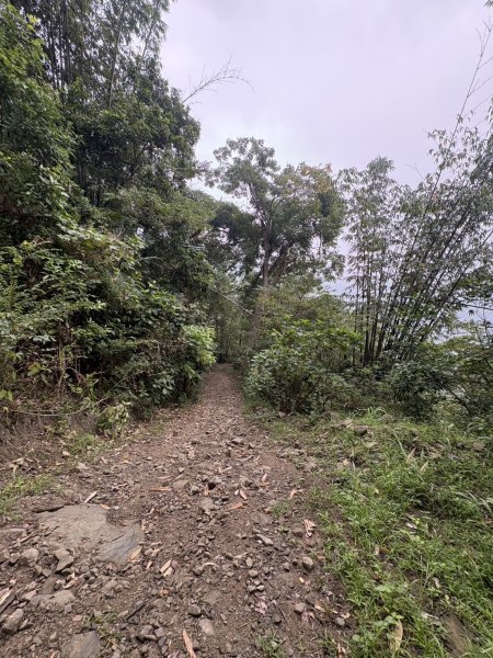 20251108西阿里關山步道(小林村東側登山口啟登)2933485