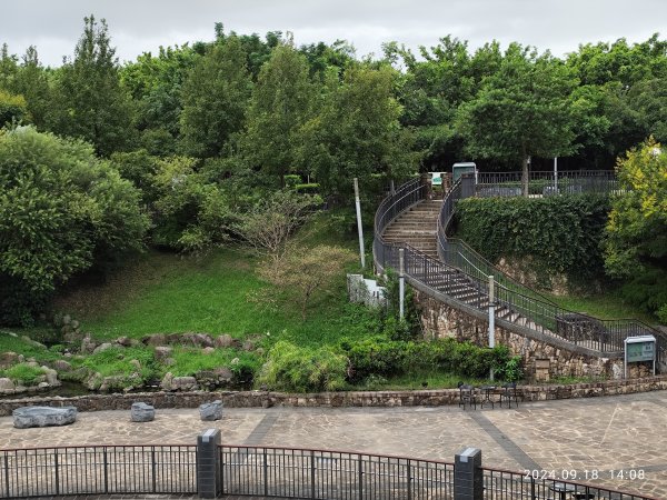 大安森林公園、大稻埕、大港墘公園【走路趣尋寶】【臺北健走趣】2598316