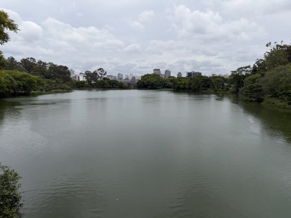 [紐約馬之行-69] 2025_1116 伊比拉布埃拉公園-下2955184