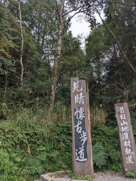 見晴懷古步道3137143