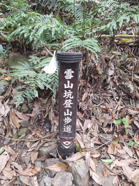 雪山坑步道202604223045711