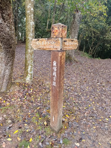 霞喀囉步道(全程)2972339